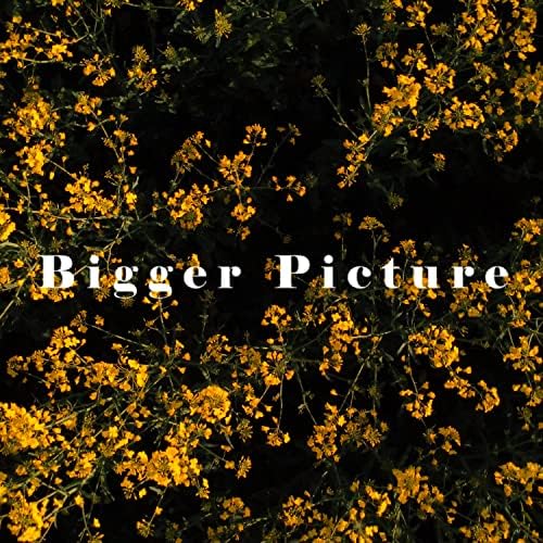 Wendell Krumb - Bigger Picture