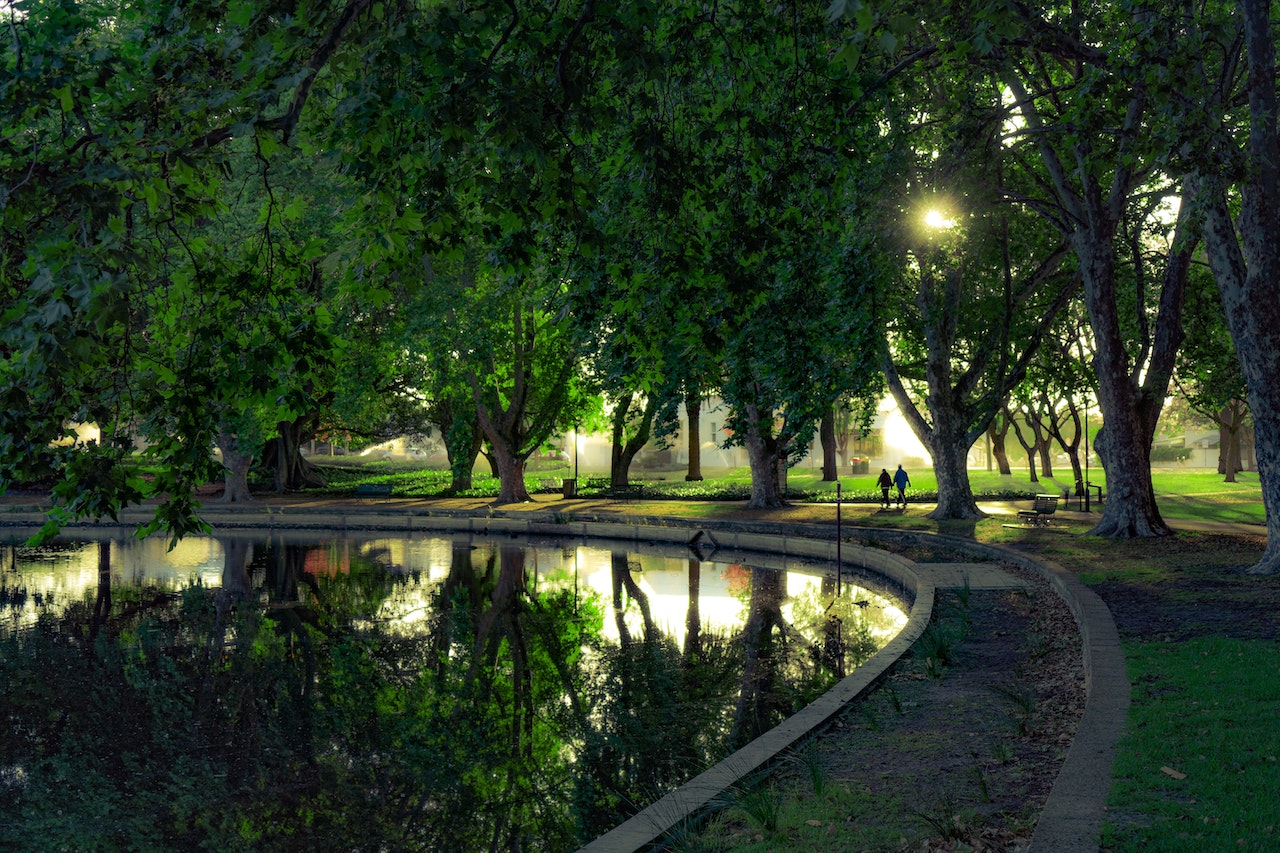 A photo taken in Hyde Park next to the lake