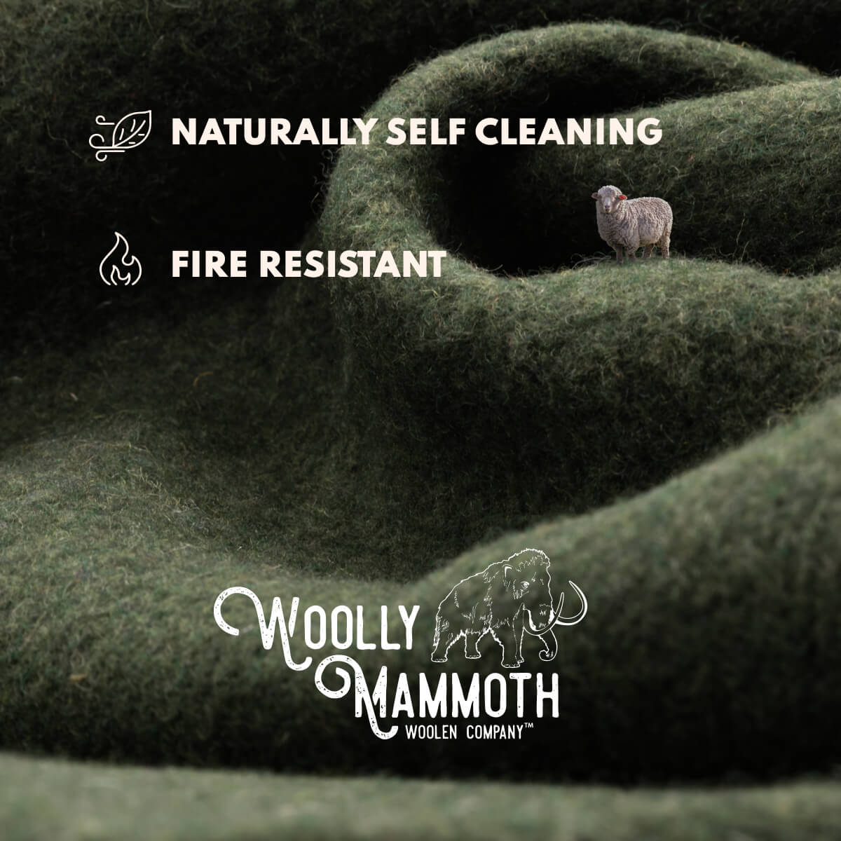 Premium merino wool blanket