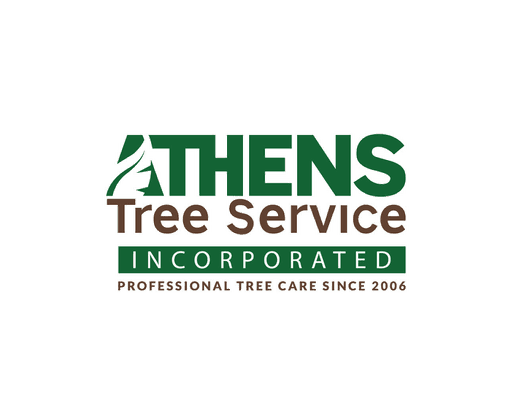 Anderson & Greenville Tree Service - Certified Arborists | Athens Tree ...