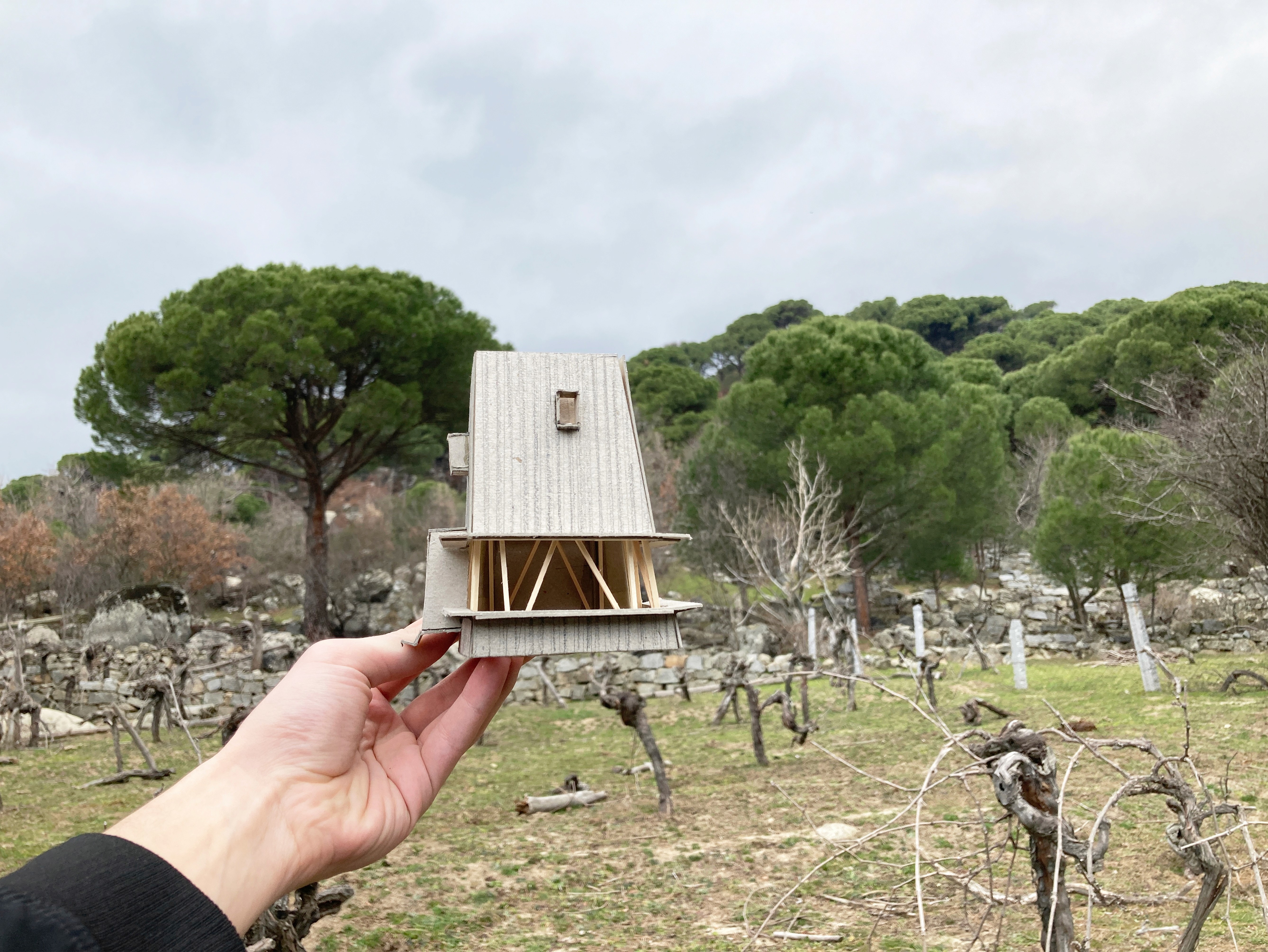 cabin_in_woods_project_explain_ediz_demirel_works_edworks_architecture_studio_model_steps_maket_edwork