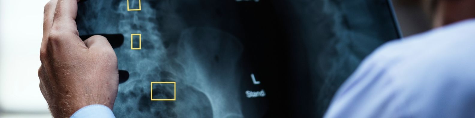 Medical Data Annotation