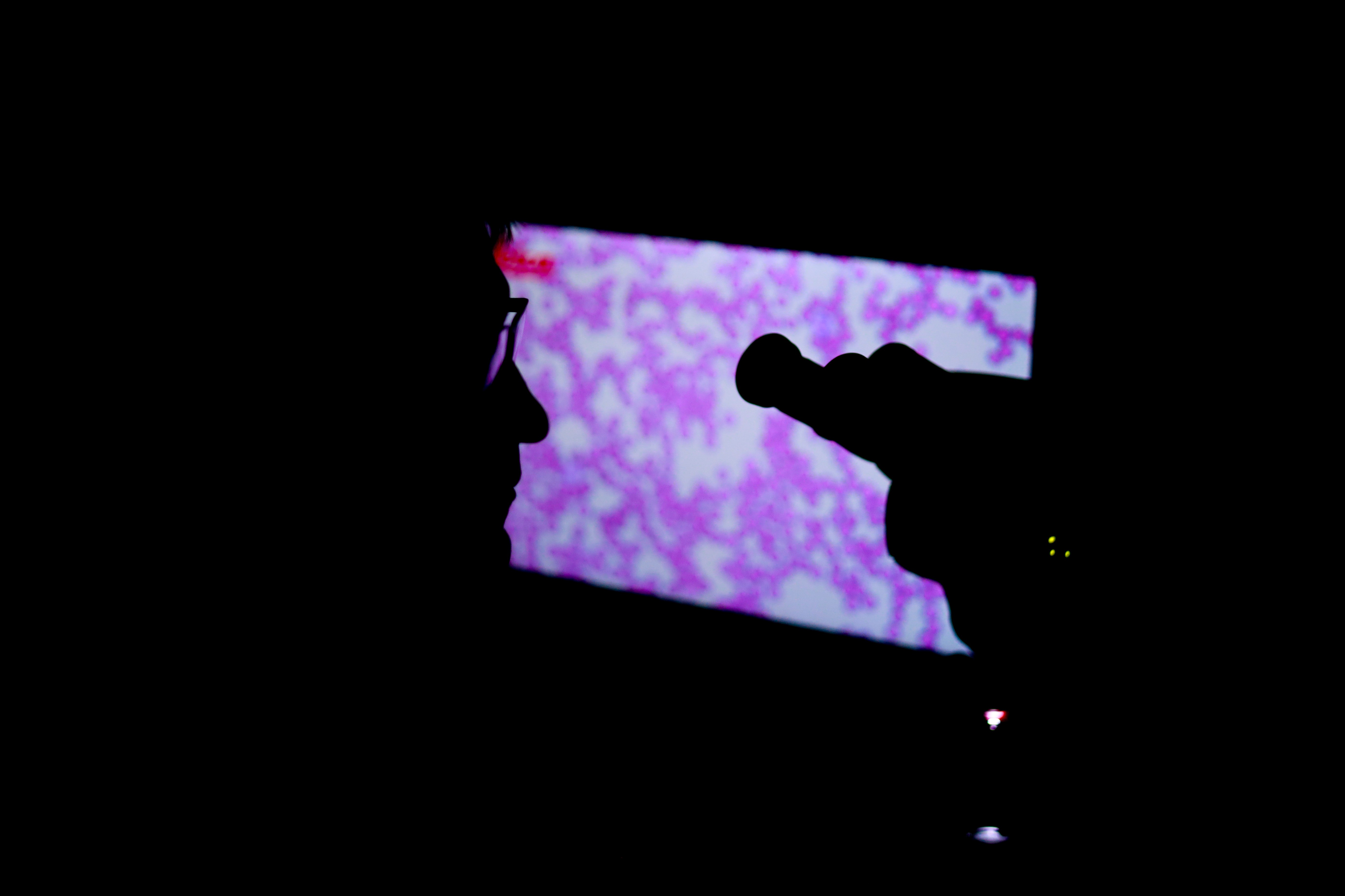 Silhouette von Tierarzt in Tierarztpraxis, betrachtet Mikroskopbild auf Bildschirm.