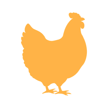 Phones with on the screen 123FEED