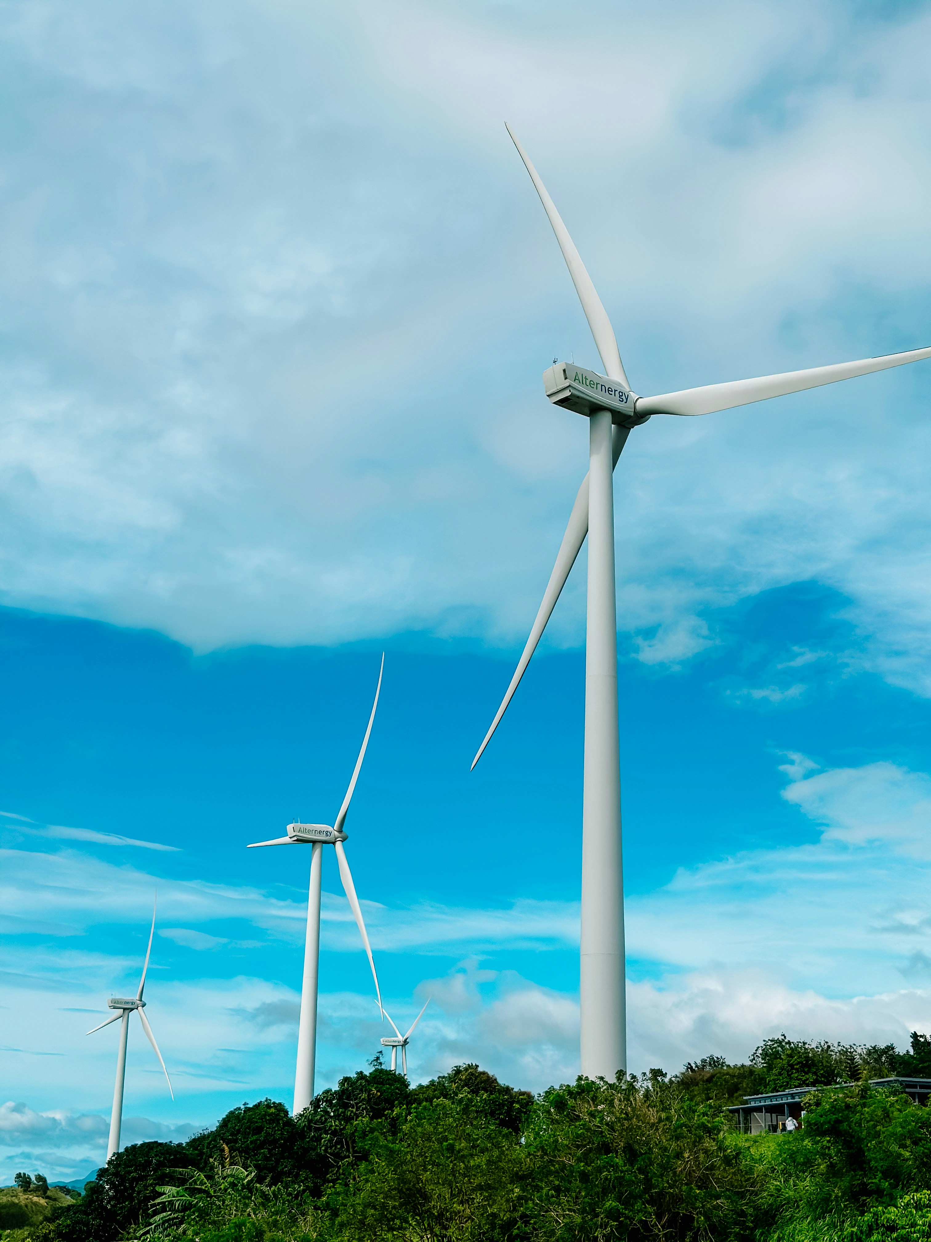 a field of yellow flowers with wind turbines in the background