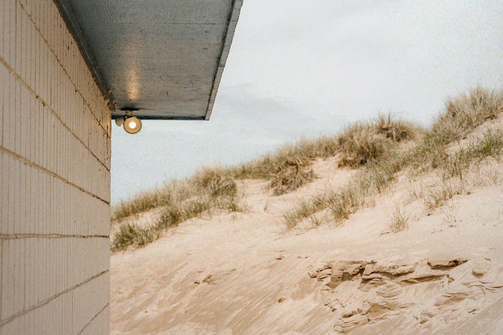 Dune grass beside the corner of a pale house