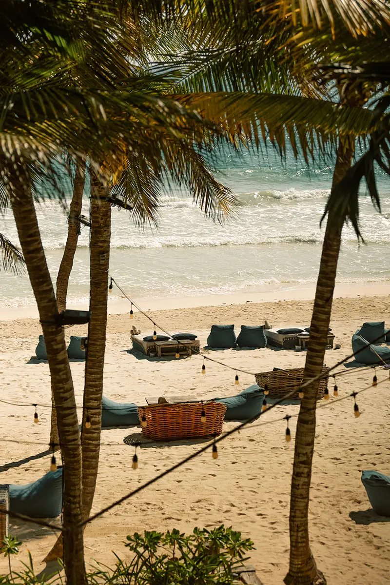 Beach club facing the ocean with sofas, tables, and chairs for guests to relax and enjoy, surrounded by palm trees.