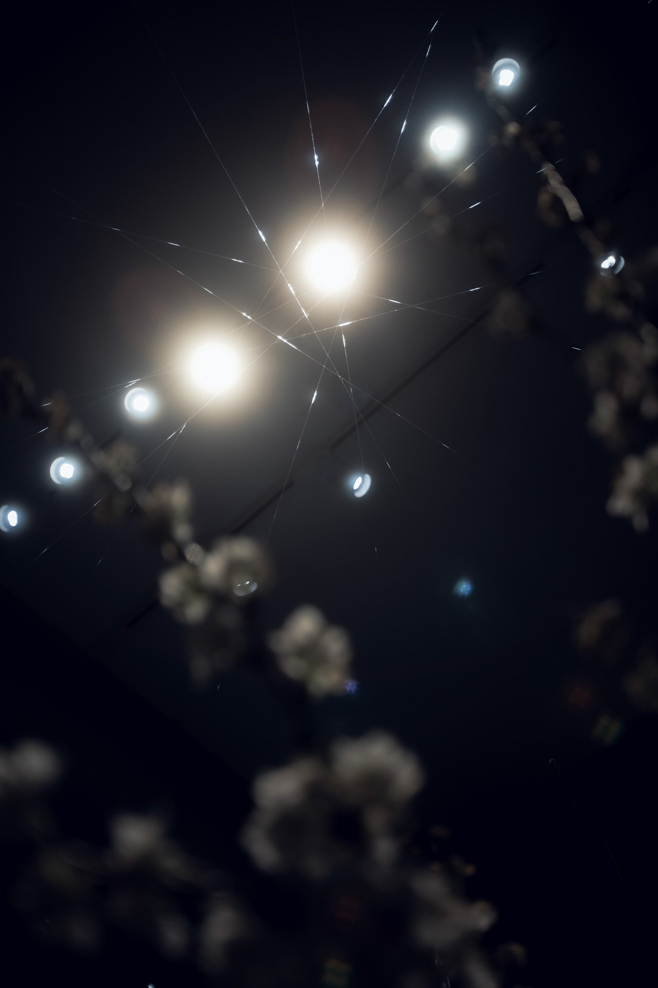 Taisei Matsumoto, 2025 exhibition view 02