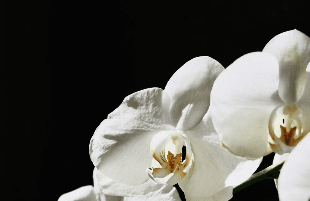 Blog post image