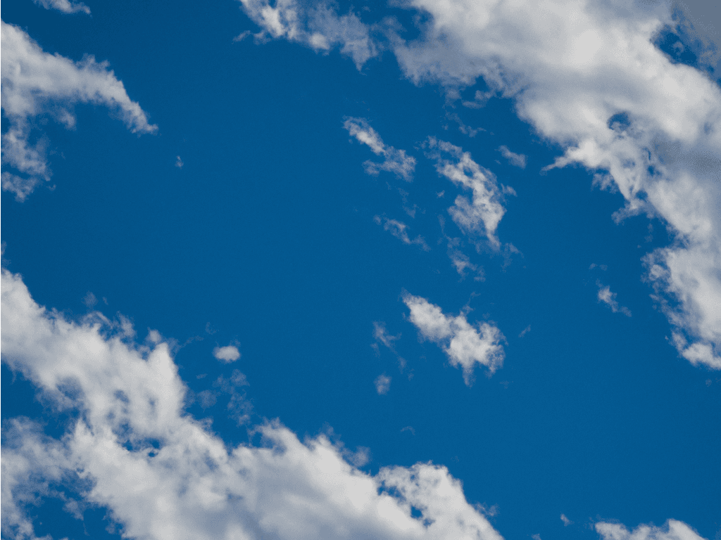 blog6