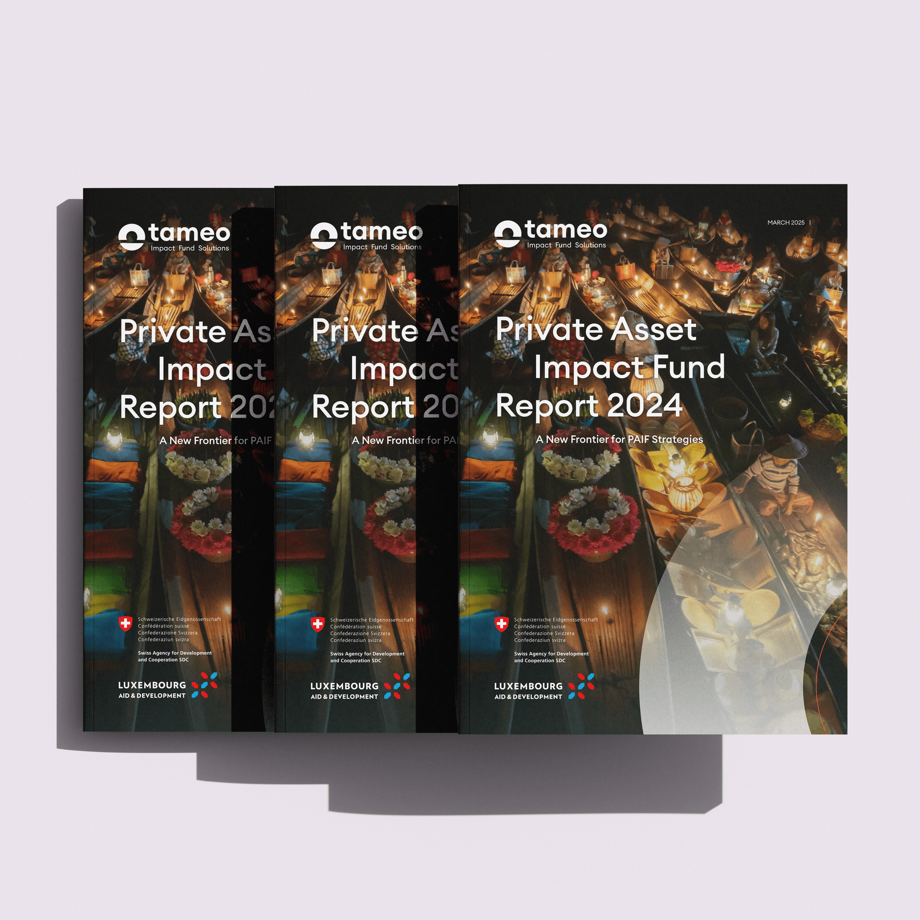 PAIF Report Cover 2024
