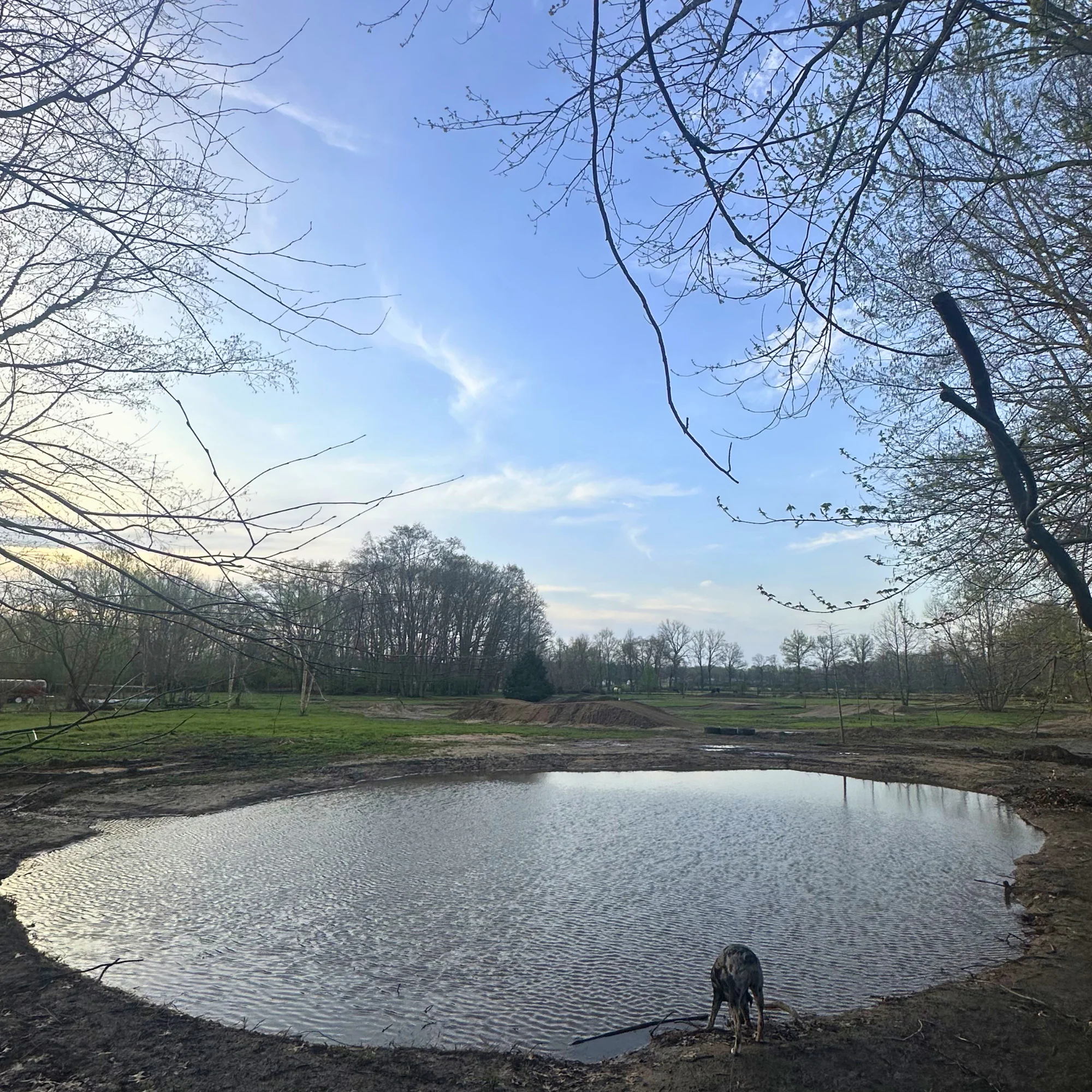 Mini excavator parked on grassy terrain with hoses nearby.