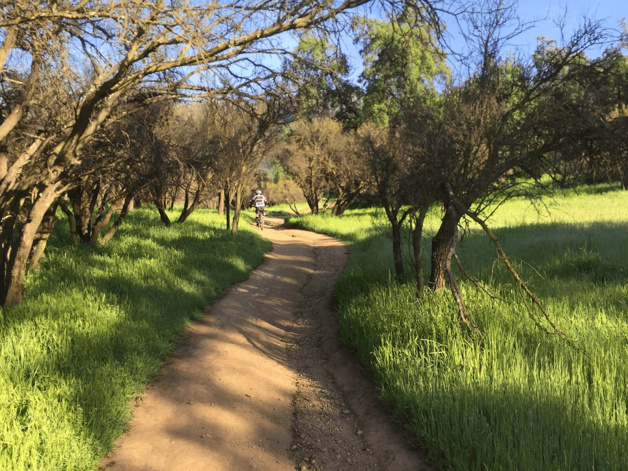 a black and white living room with a large tv