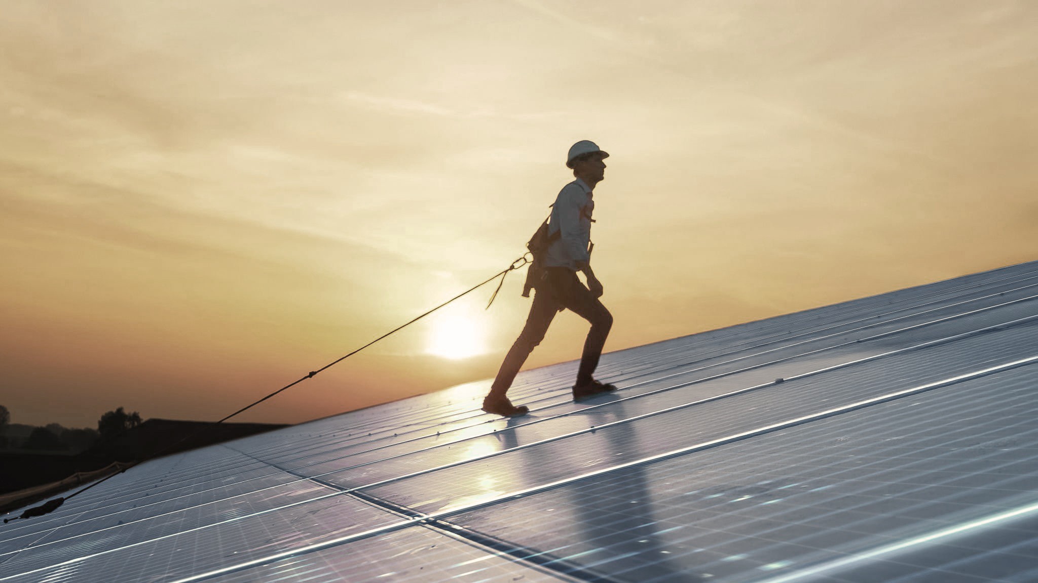 Een kind zit op een bank en aait zachtjes een zwarte hond in een met zonlicht gevulde kamer.