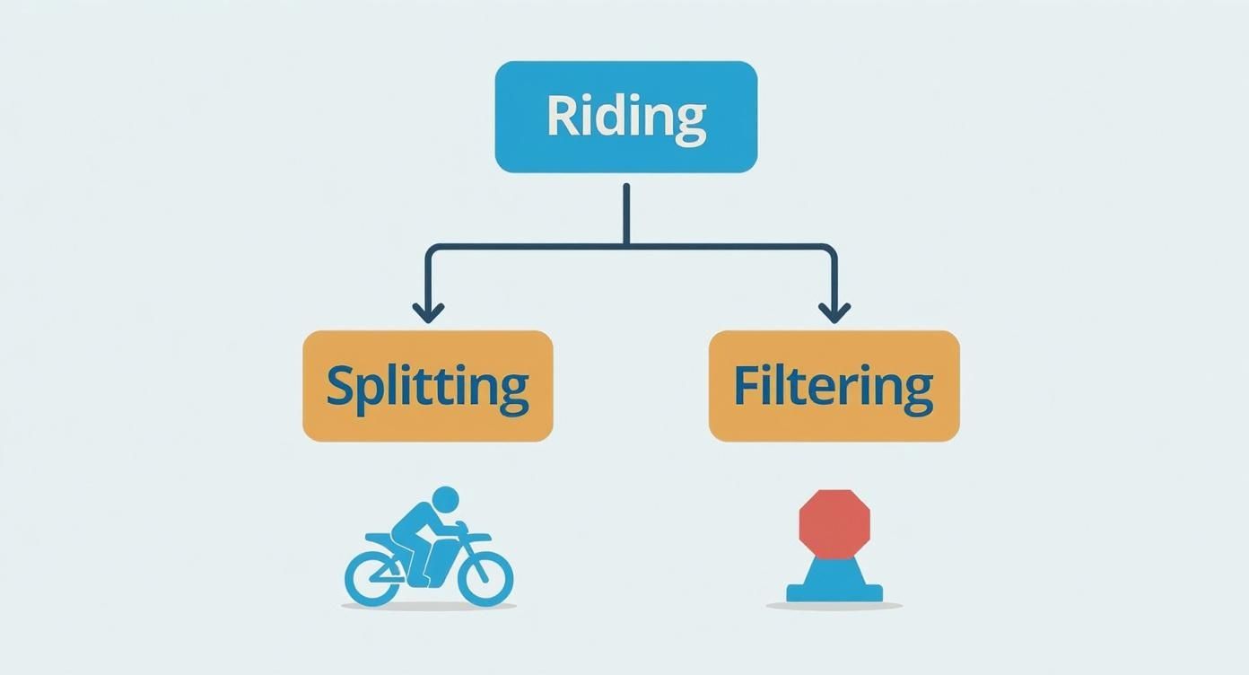Flowchart showing 'Riding' branching into 'Splitting' (motorcycle icon) and 'Filtering' (traffic cone icon).