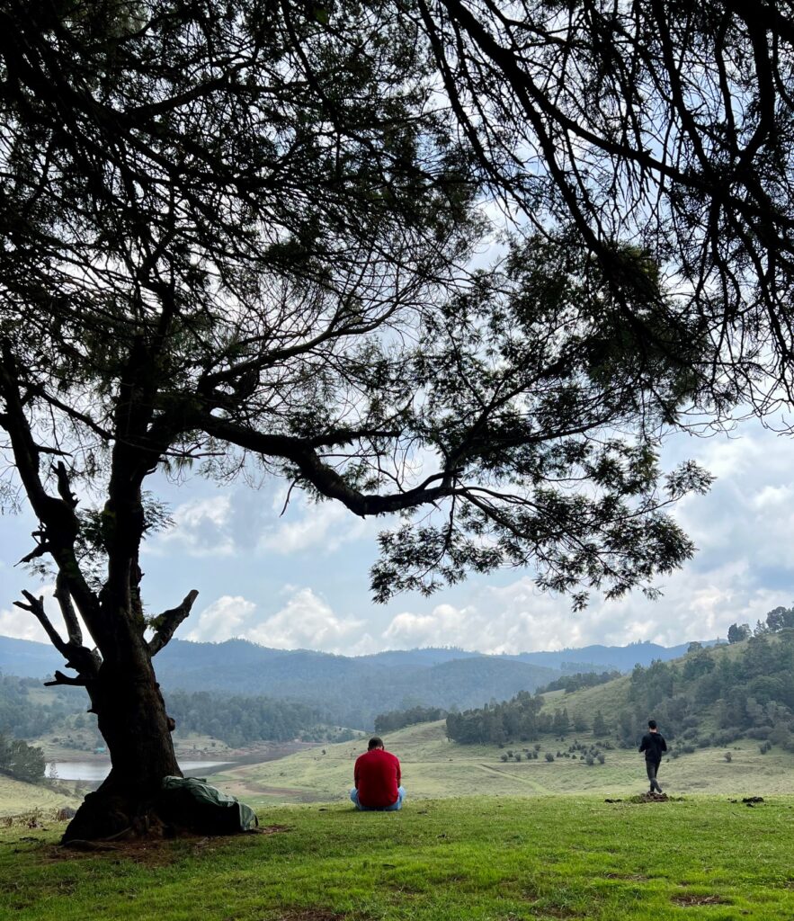 A peaceful spot under a tree at Mannavanur Eco Tourism Site. A man and a child are relaxing in the picture.