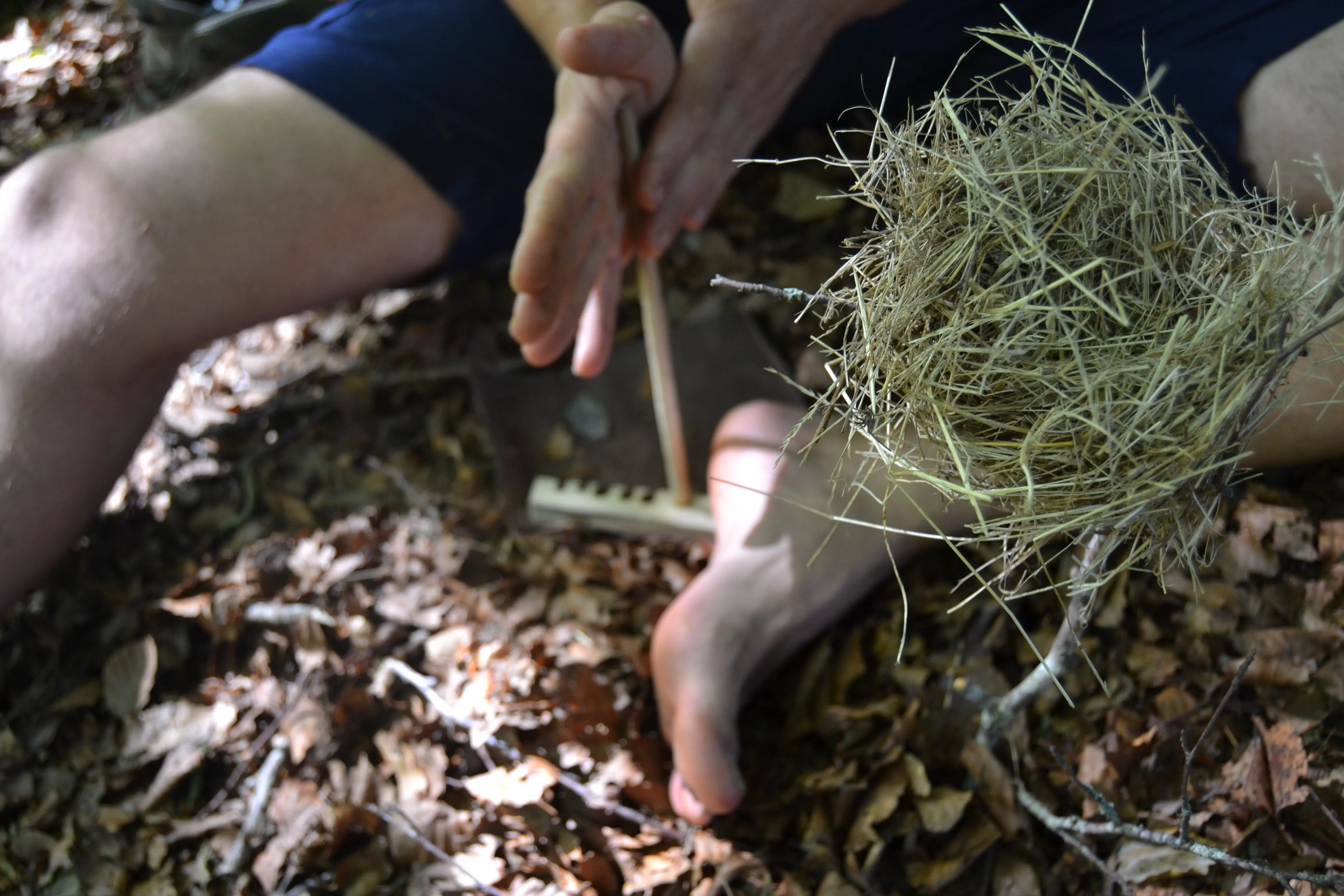 Andrea Modesti, istruttore di survival e bushcraft, esperto in campi avventura per ragazzi e corsi di sopravvivenza outdoor