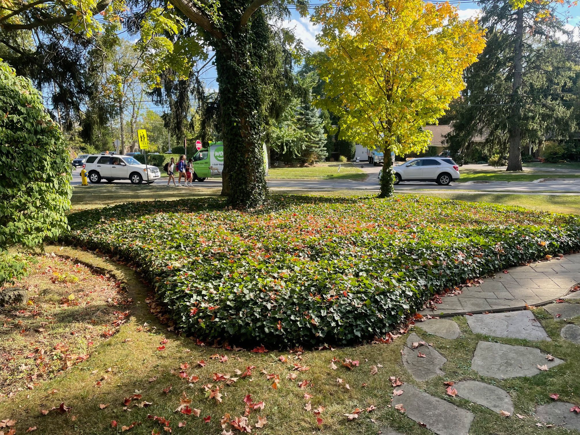 man in green t-shirt and black pants holding black and brown shovel