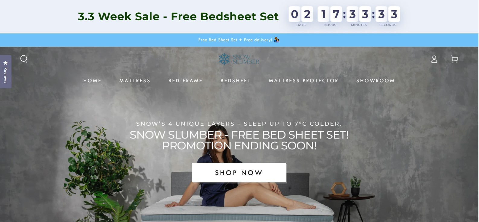 Online E-commerce Business for Sale - snowslumber review