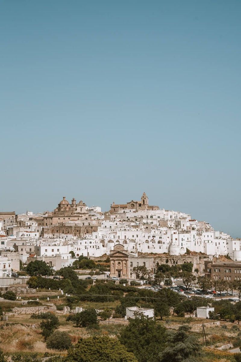 Individual Nutrition Consultation