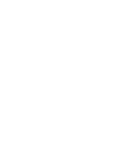 Youtube Icon