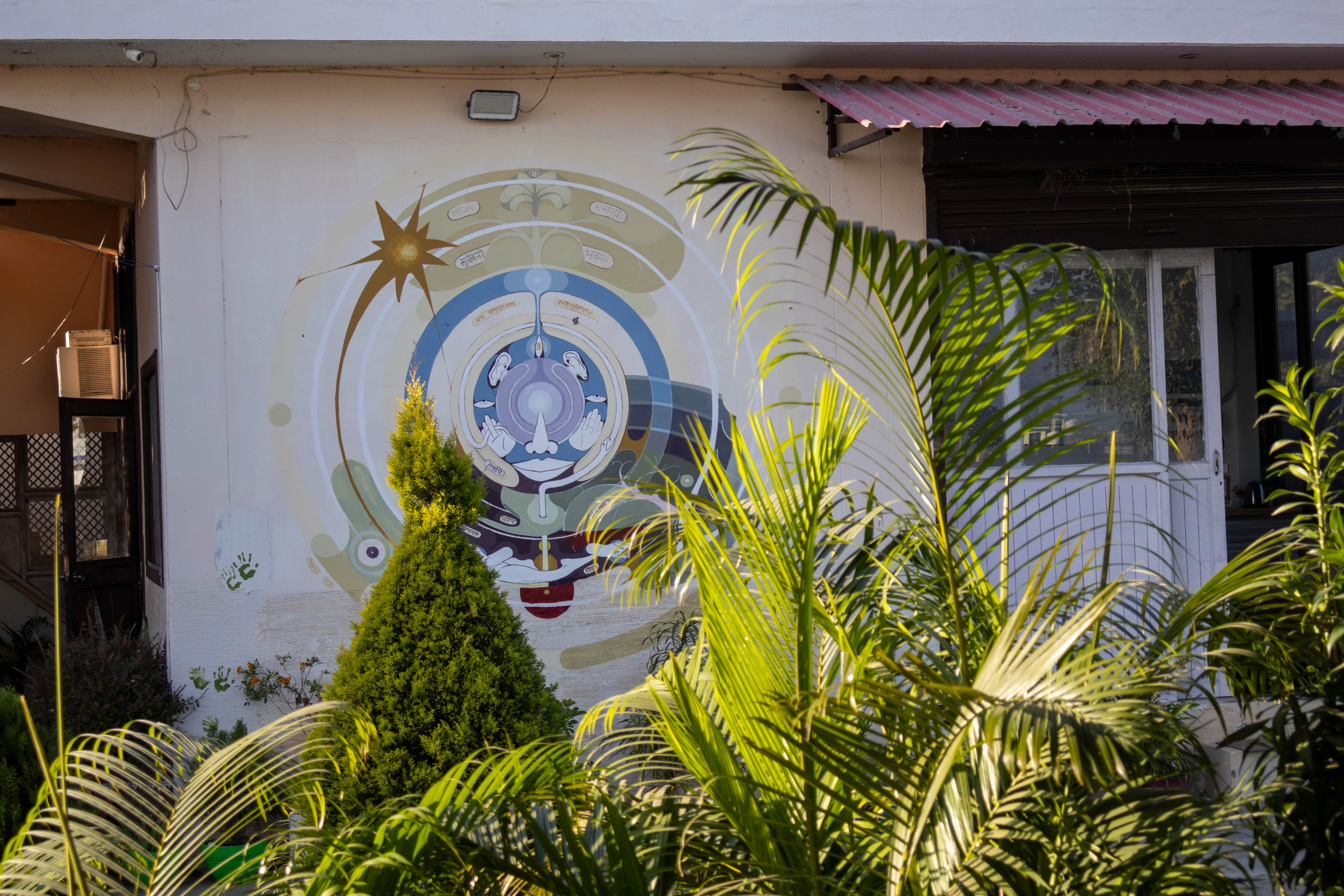 A mandala-style mural with a rising sun and spiritual symbols painted on a white wall with shiny green plants in the foreground.