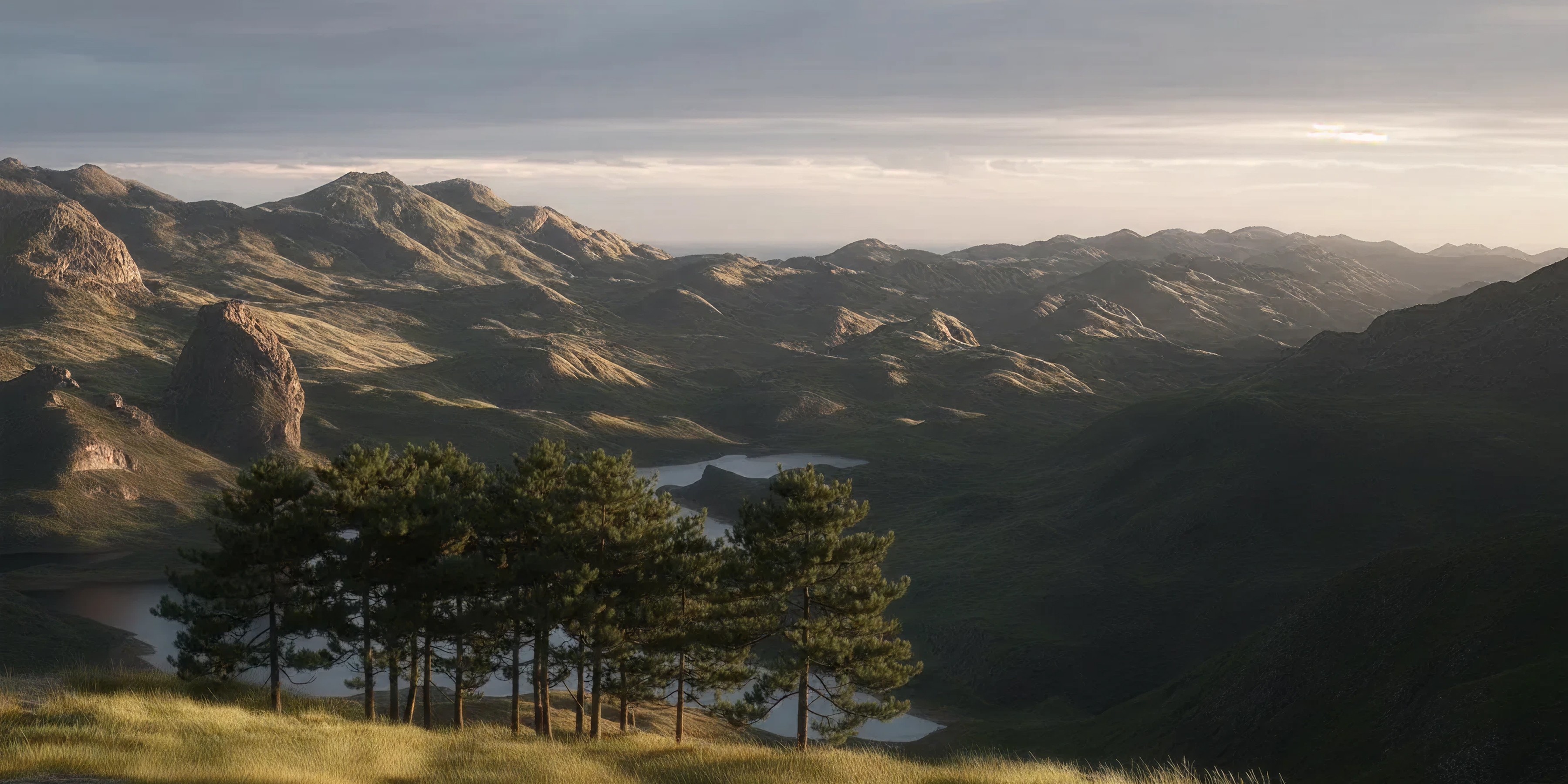 pine-trees-in-front-of-mountain-lake-terrain