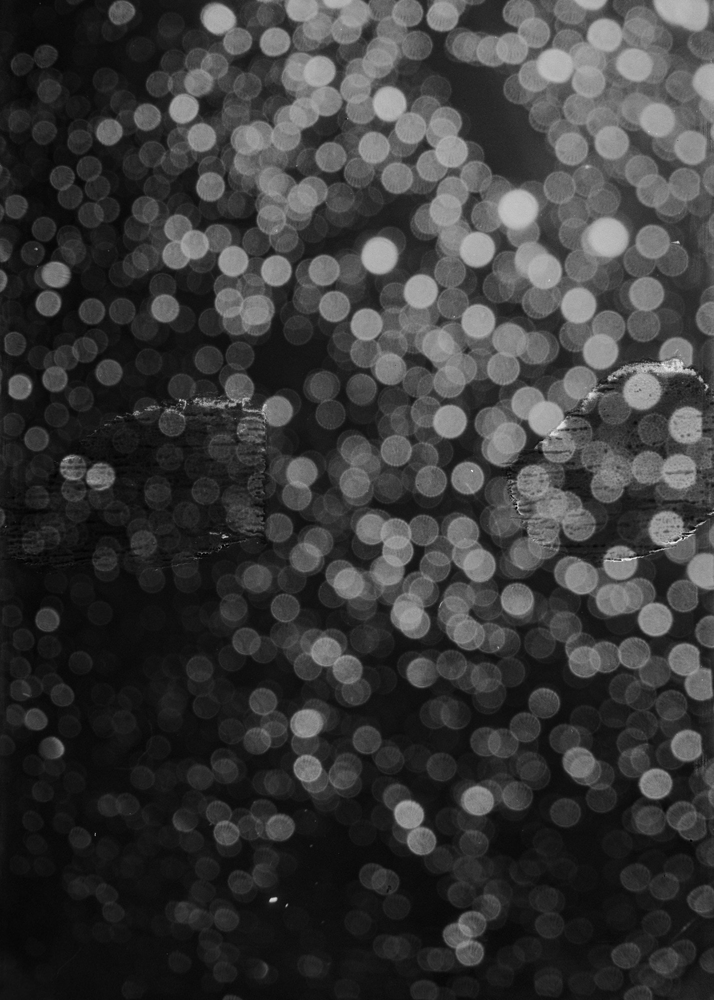 Taisei Matsumoto, 2024 exhibition work 001