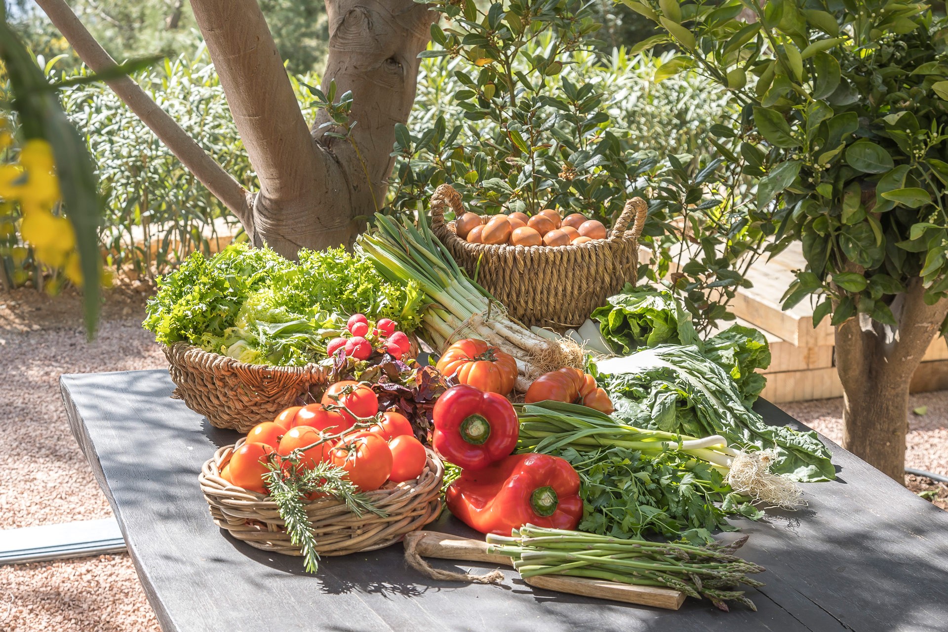 Organic farm garden produce at an exclusive luxury villa Ibiza—private VIP estate property holiday retreat