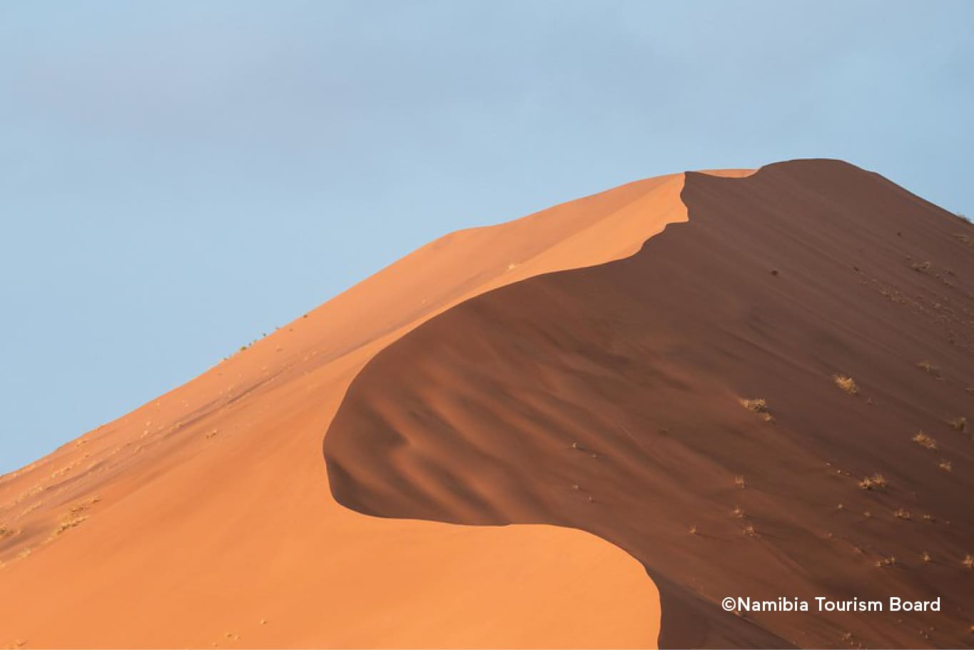 Rote Sanddüne in der Namib-Wüste