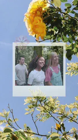Elegant beige video collage template with multiple photo frames arranged diagonally