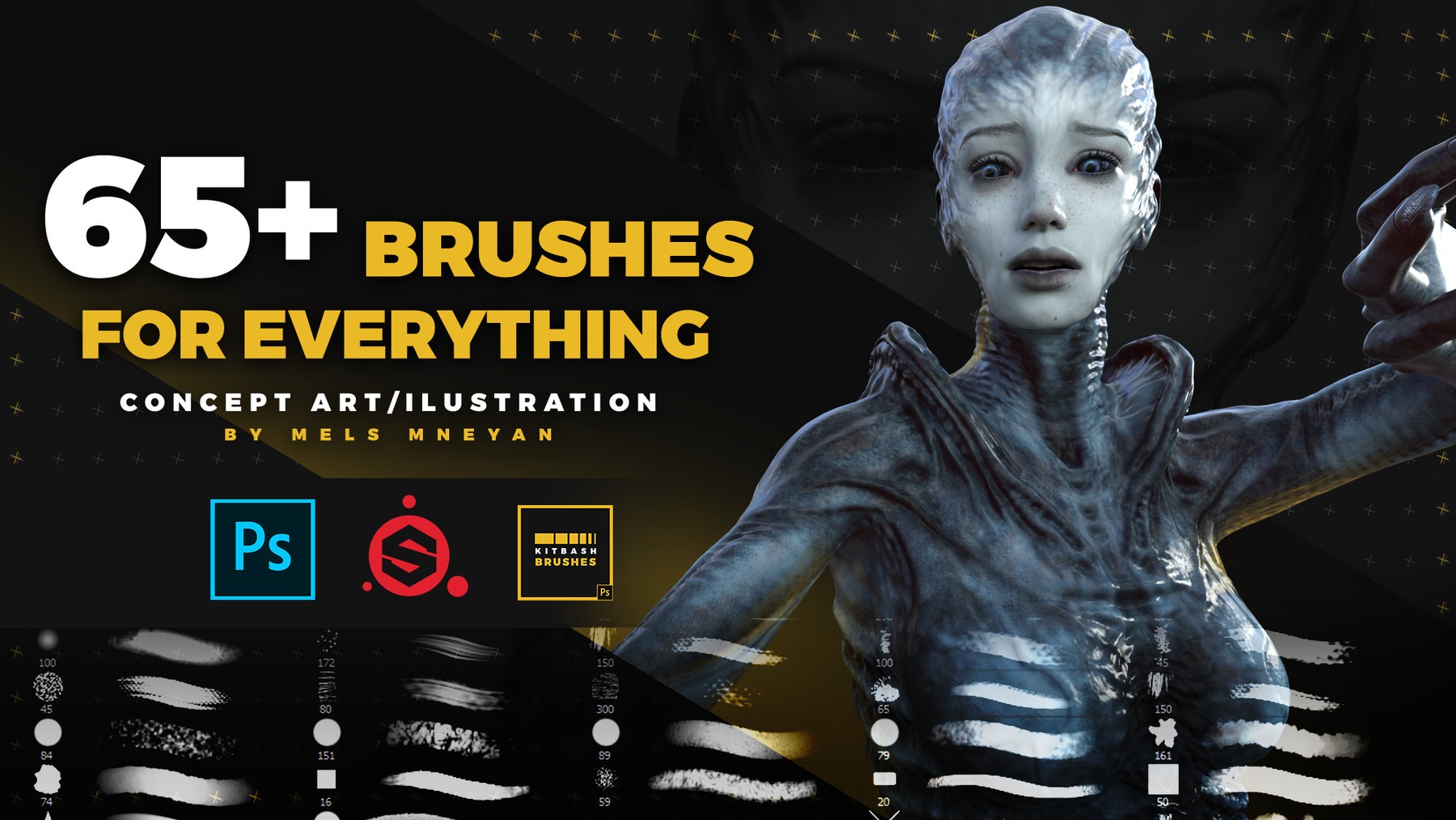 65 BRUSHES For Everything