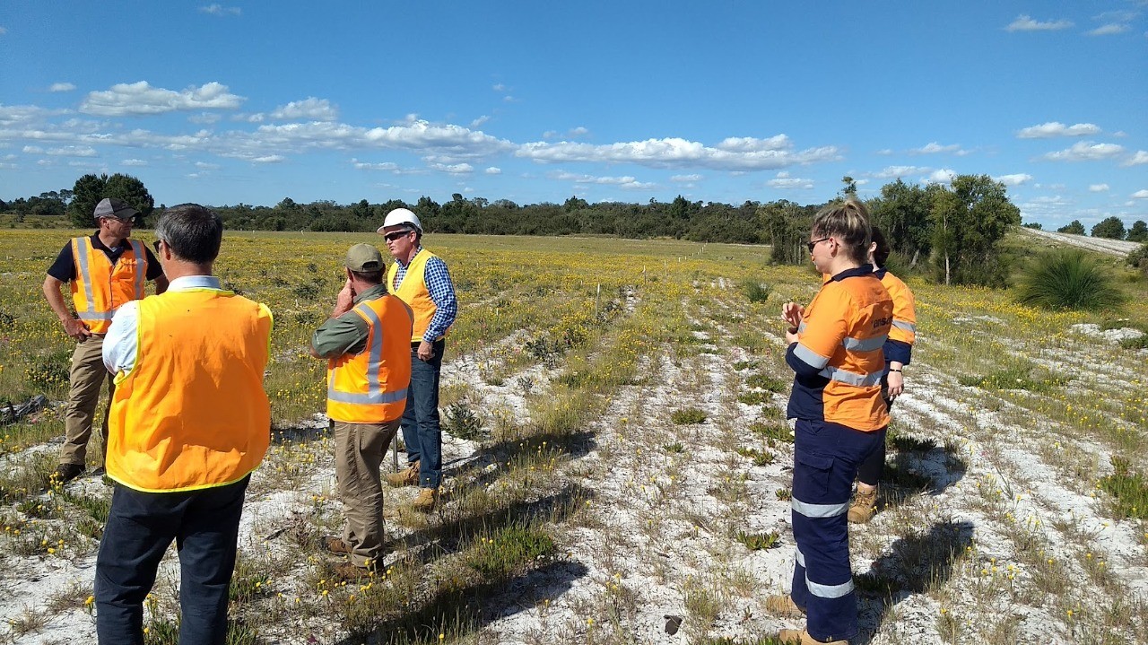 Grupo com coletes refletivos laranja visita área de restauração ecológica em terreno arenoso na Austrália