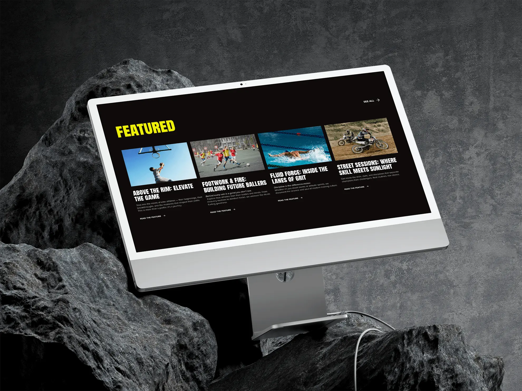 Large Project Gallery Image #1