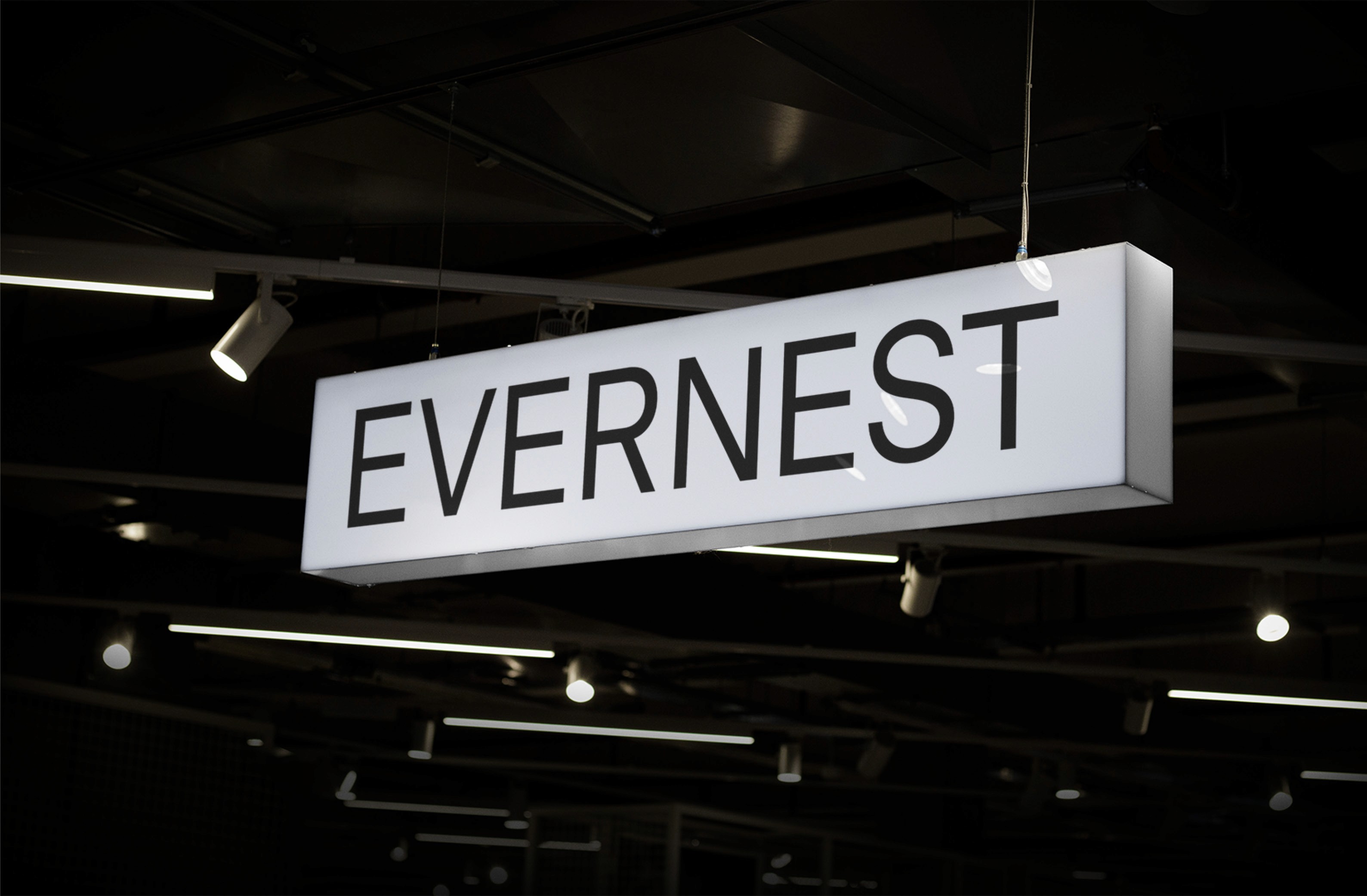 A lit sign displaying the word 'EVERNEST' in a modern urban setting.