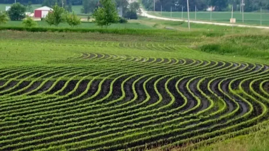 Contour Ploughing.webp