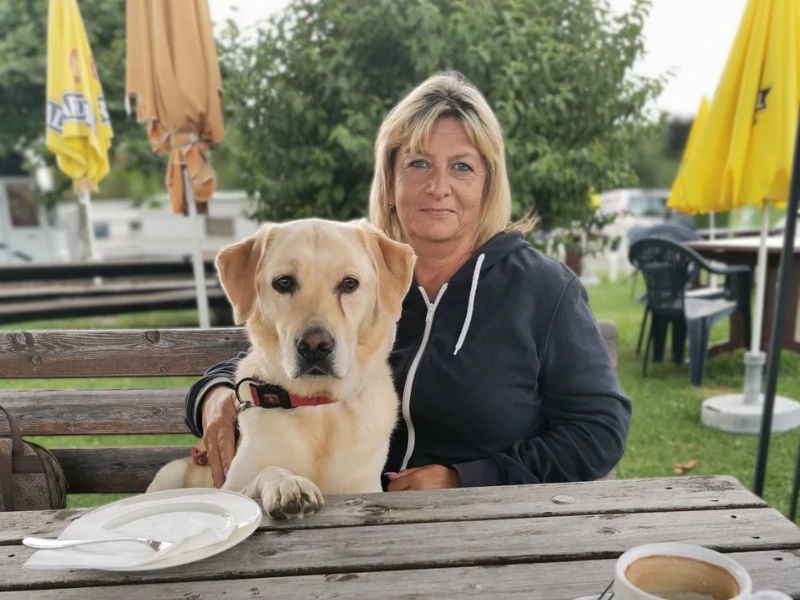 medium short-coated white dog lying on green grass field