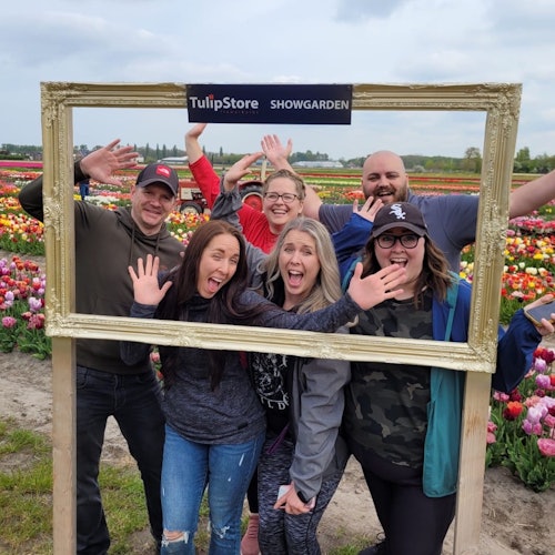 精彩的展览花园