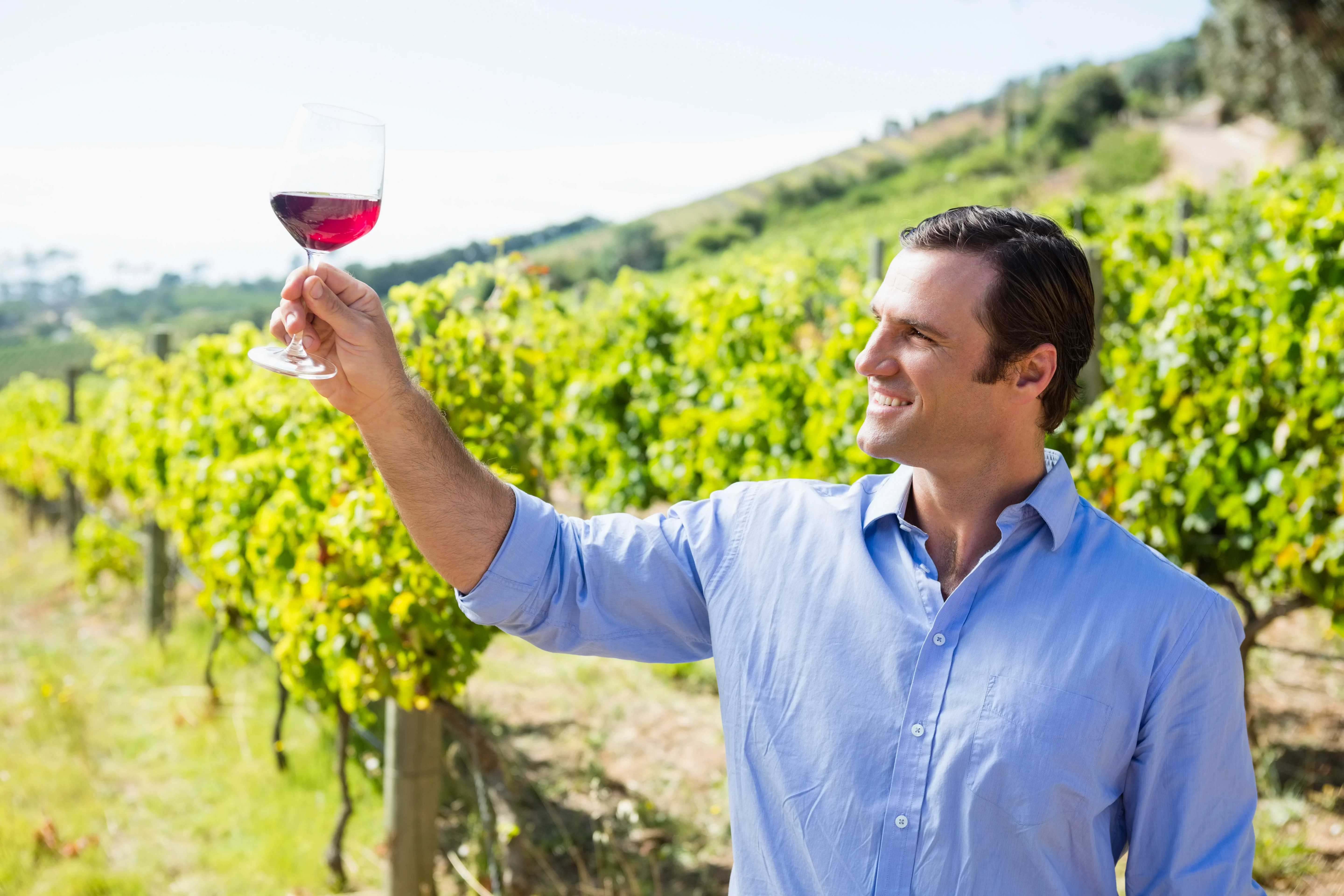Smiling Man Holding Wine Glass in Vineyard
