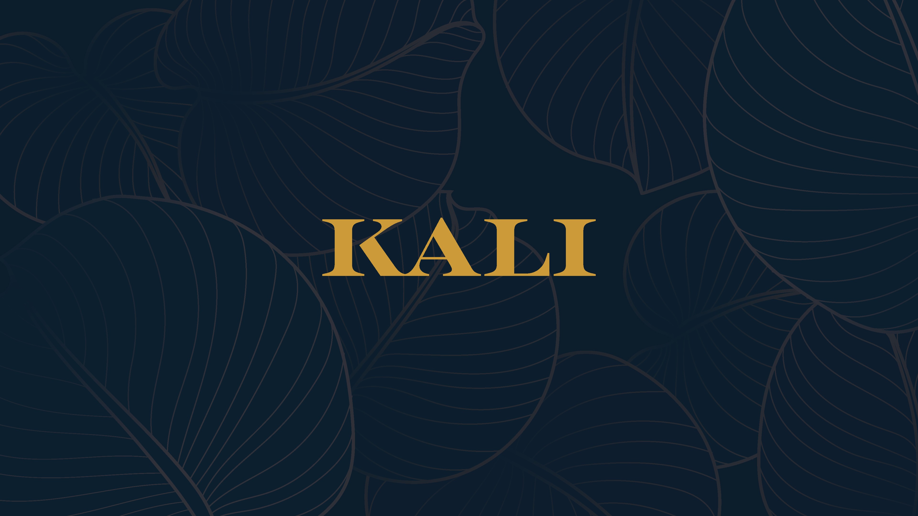 Projet hugo giorgi graphiste albi kali