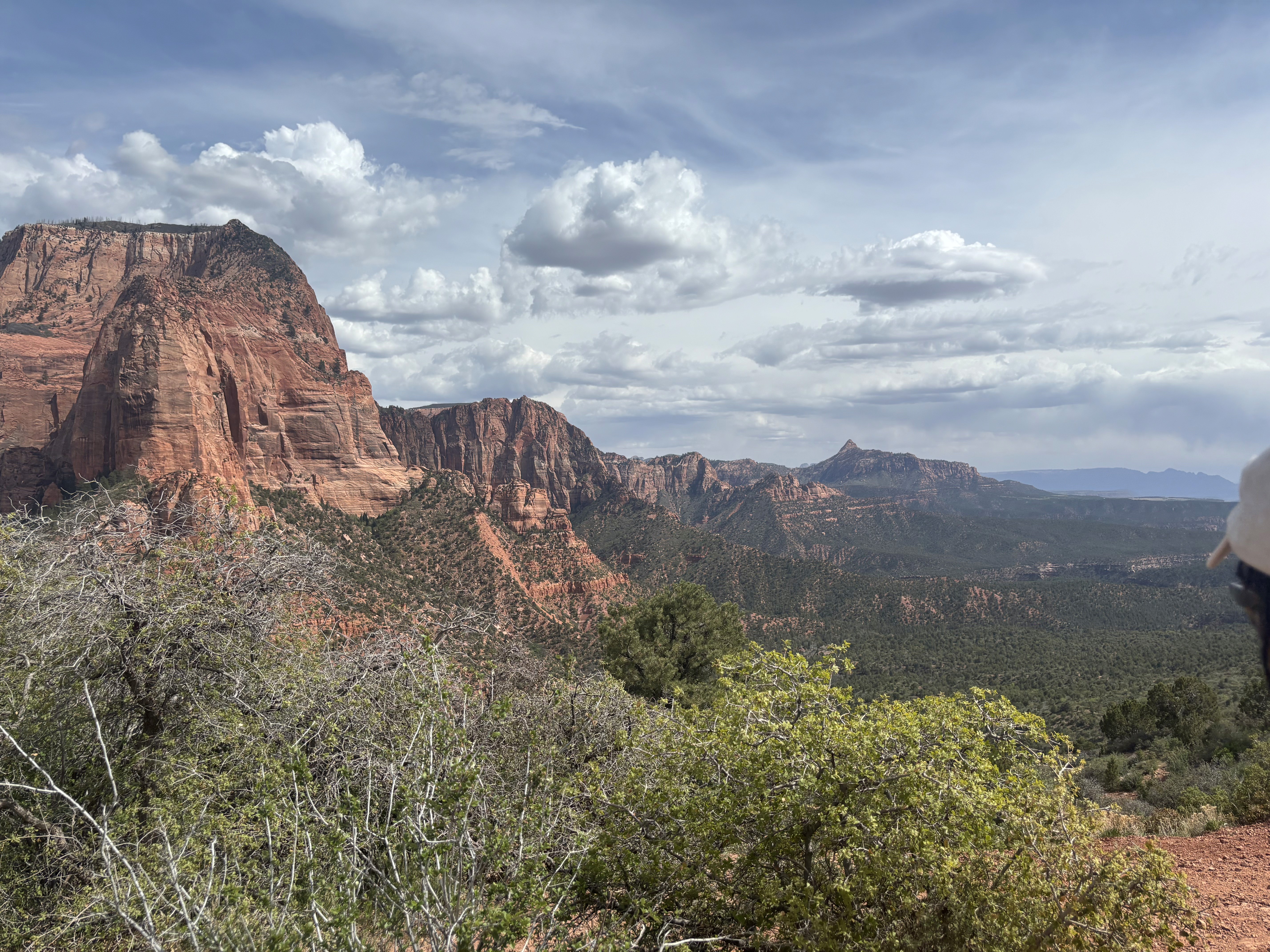 View of Zion National Park