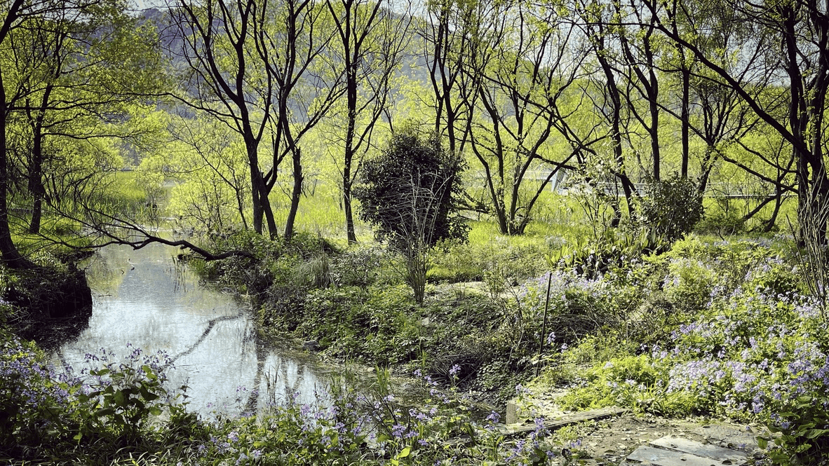 serene natural landscape