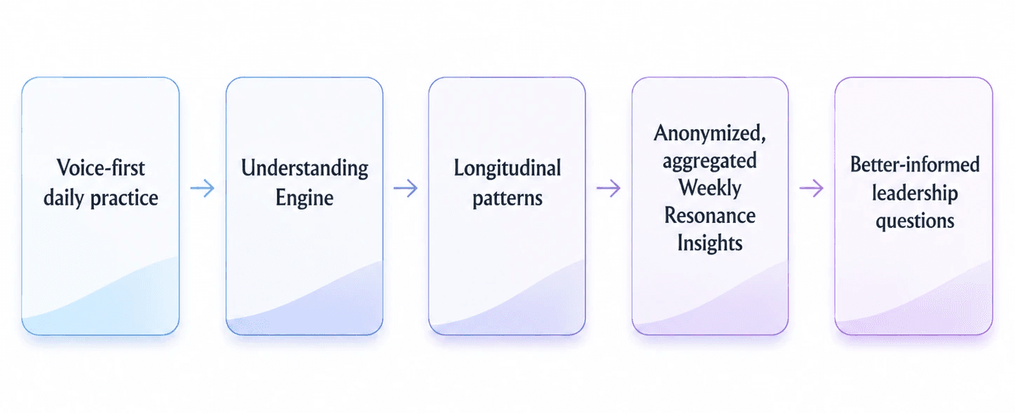 process diagram