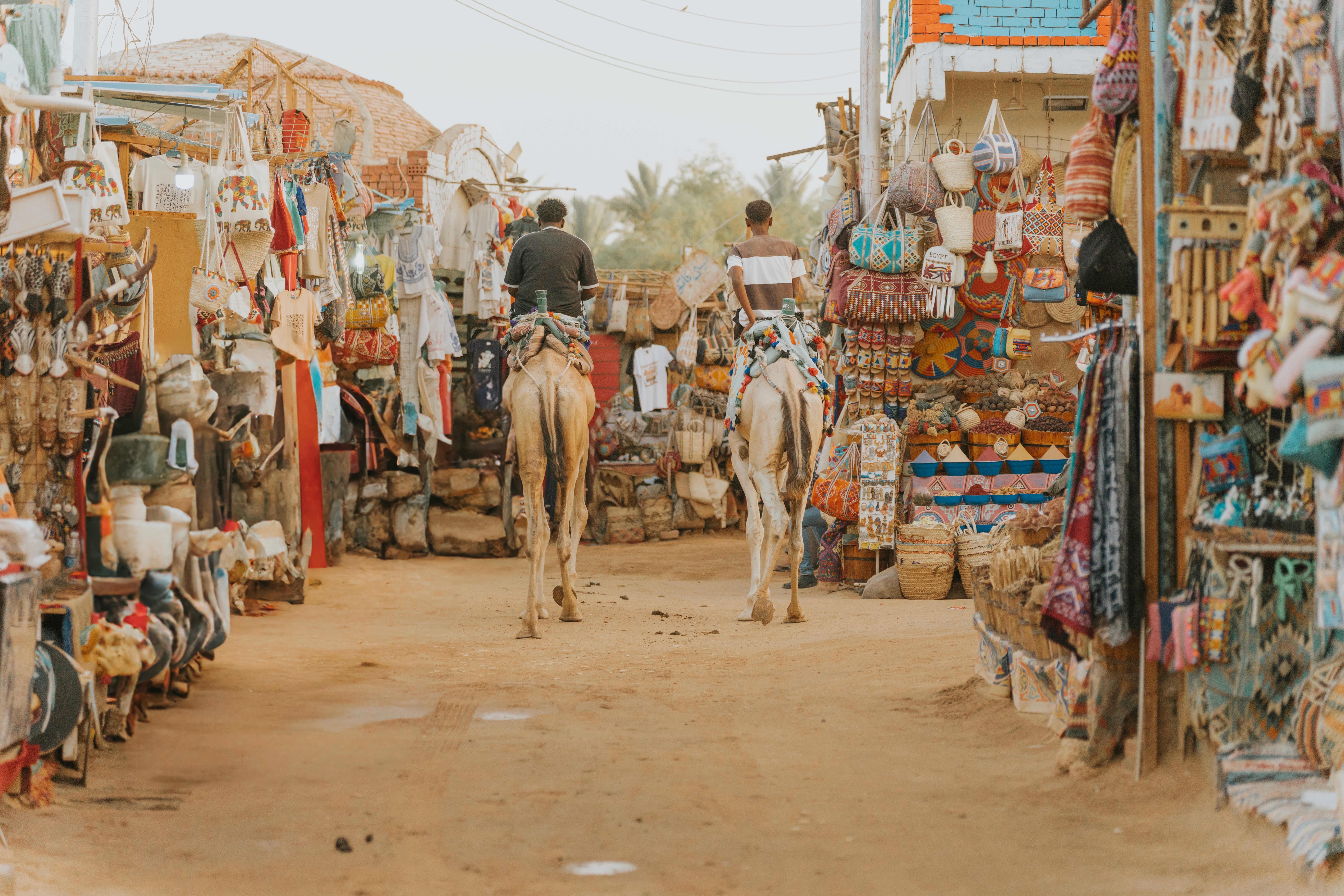 Tourists riding camels through a Nubian village street, capturing everyday life and cultural details in an urban environment, reflecting elements of street photography.