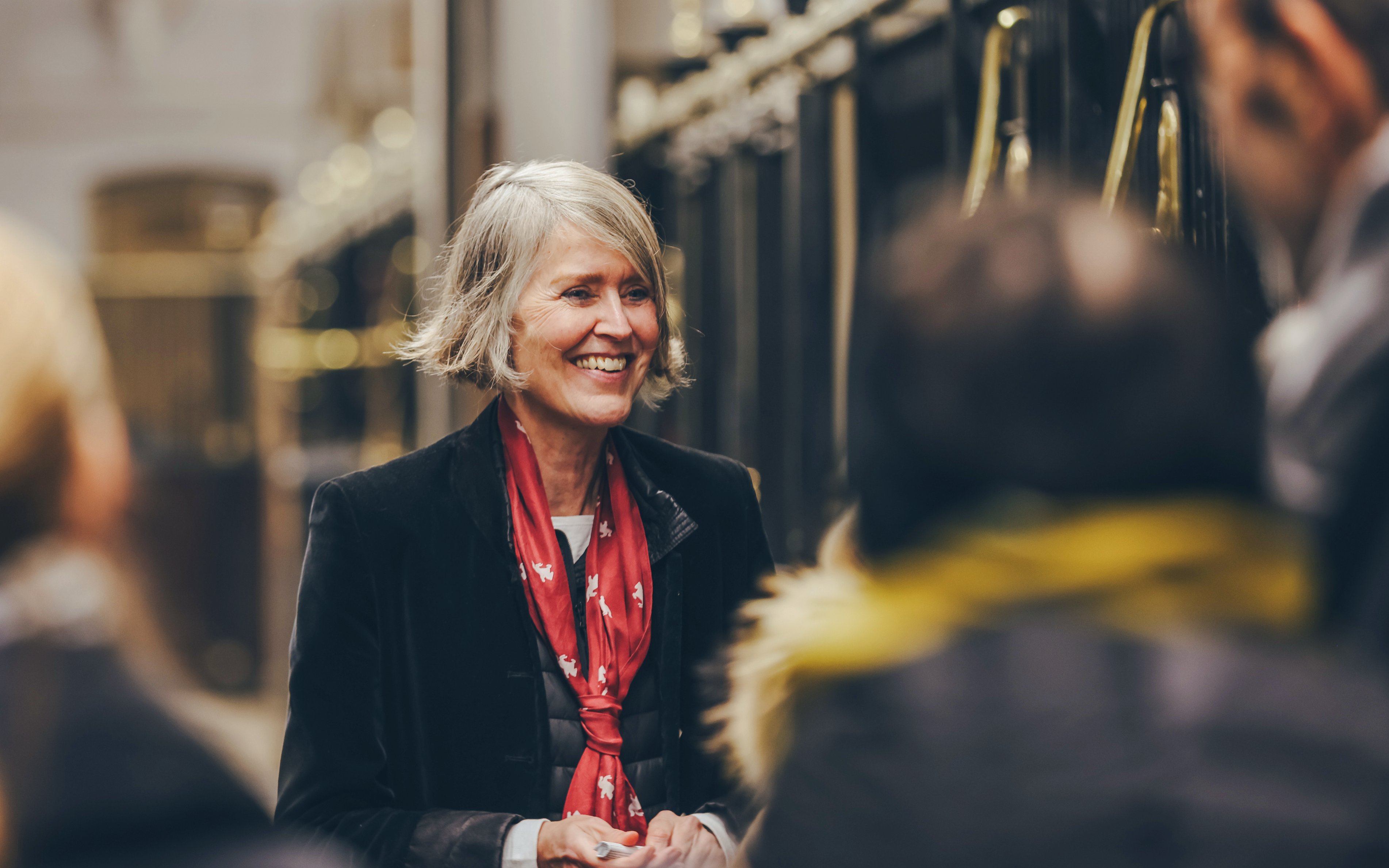 維也納西班牙騎術學校的歷史大廳。圖庫圖片 1。