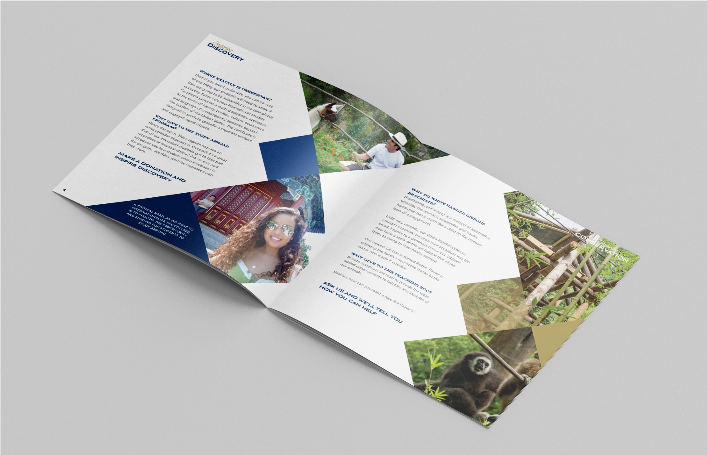Interior spread design of a brochure.