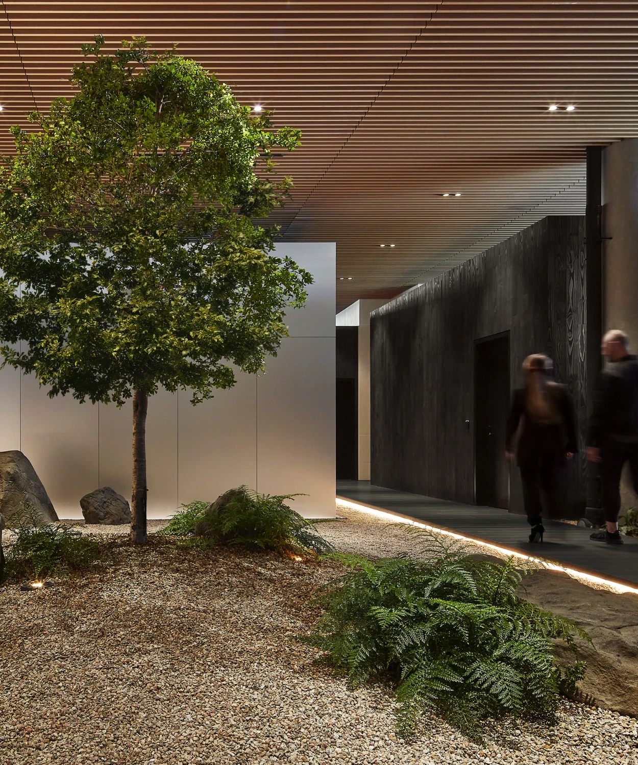 Serene hallway at Biograph longevity health center in San Francisco Bay Area with natural elements for a calming health screening experience.
