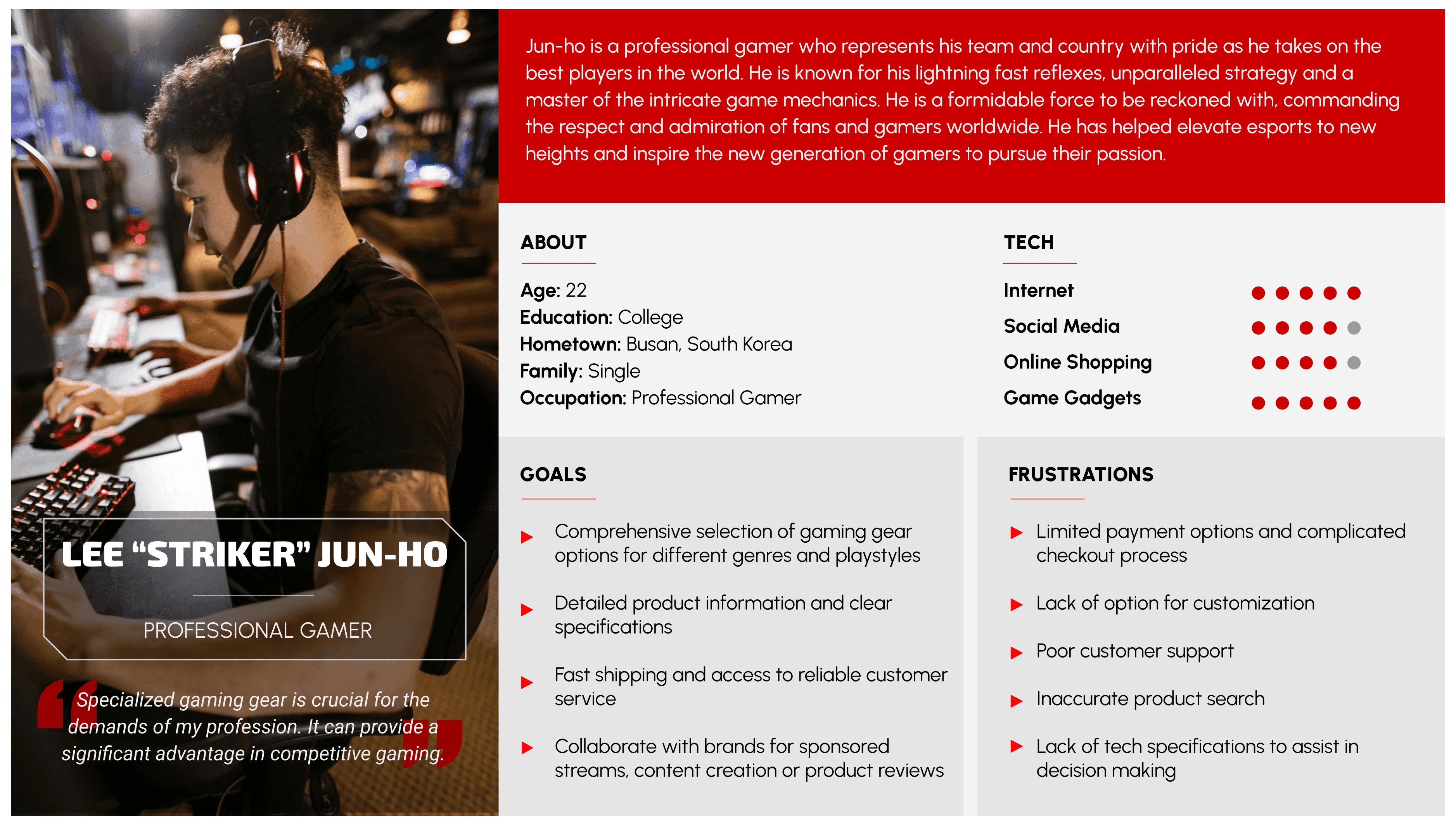 Persona 1 - Professional Gamer