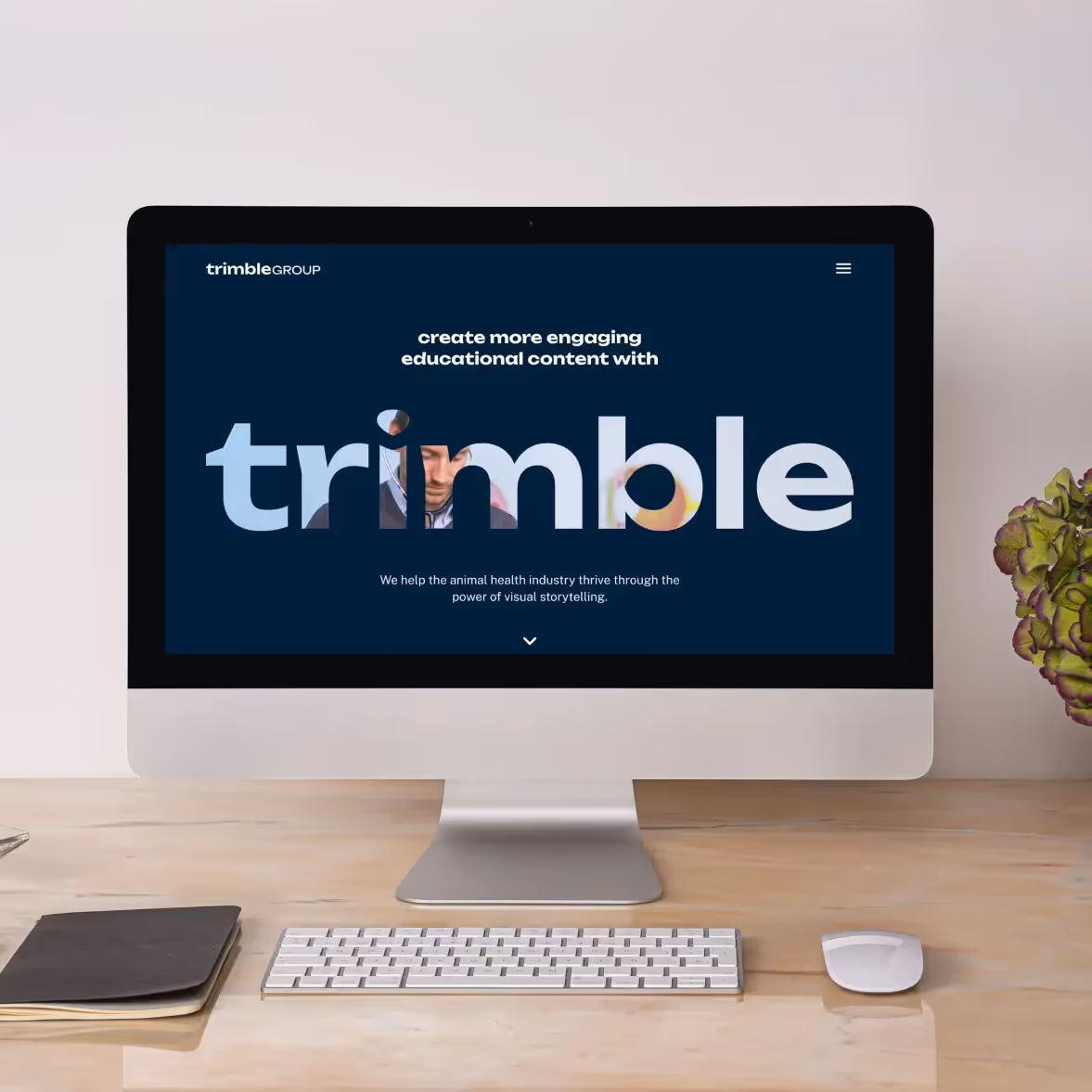Website screens and brand photography for professional services clients