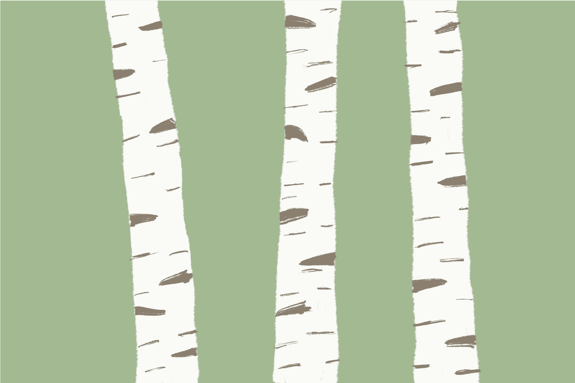 A hand-rendered illustration of a white birch tree bark with brown markings against a pale green background.